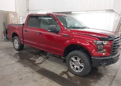 1FTEW1EP5FFB71803: 43926098