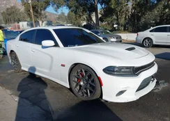 2C3CDXGJ4GH339718: 43926249