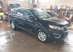 5XYPG4A33GG006311: 43926319