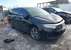 5FNRL6H8XPB009411: 43925655