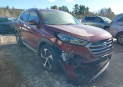 KM8J3CAL4JU790818: 43926815