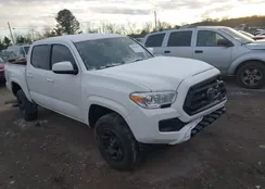 3TYAX5GNXPT072902: 43926763