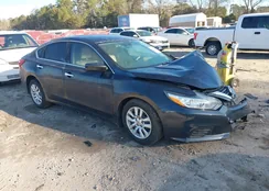 1N4AL3AP0GN365726: 43928081