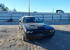 2C3CDZAG4LH243381: 43927483