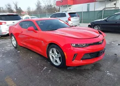 1G1FB1RXXJ0155918: 43927770