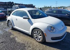 3VWJL7AT8DM669081: 43928786