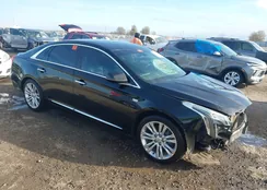 2G61M5S39K9115544: 43929068