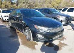 KNAGM4AD7F5081311: 43929070