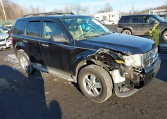 1FMCU9D79BKB43383: 43929981