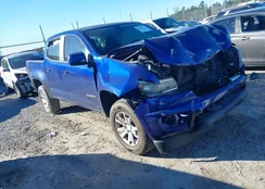 1GCGSCEA1G1242408: 43931973