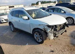 5N1AT2MT2FC775446: 43932248