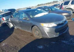 4T4BF1FK1CR262629: 43932986