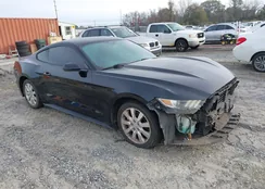 1FA6P8TH6G5257883: 43932474