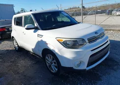 KNDJP3A51J7904007: 43933894