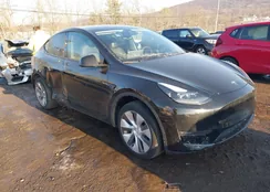 7SAYGDEE6RA239156: 43934195