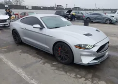 1FA6P8K02K5505552: 43933607