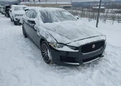 SAJAP4FX9KCP50849: 43934378