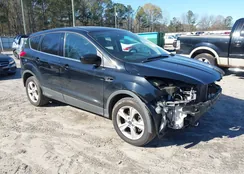 1FMCU9GX7GUC67739: 43934389