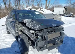 KM8HC3AB9RU150153: 43934515