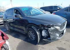 JM3KFBBL5R0462603: 43935530