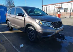 2HKRM3H4XGH542384: 43935551