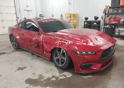 1FA6P8TH0R5124796: 43937011