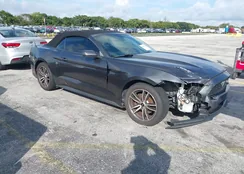 1FATP8UH1G5226851: 43936426