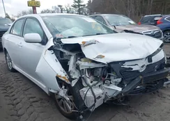 2T1BU4EE3AC413255: 43938304