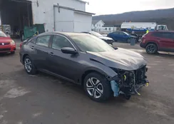 19XFC2F50GE224645: 43939243