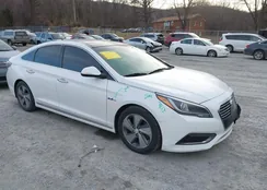 KMHE34L36HA062336: 43938511