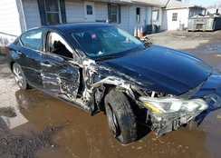 1N4BL4BV8LC172396: 43939838