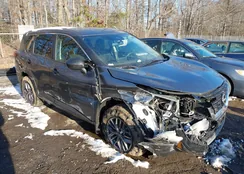 5N1BT3AB3PC817209: 43940219