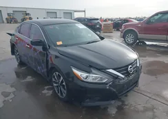 1N4AL3AP7HC497024: 43939418