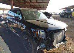 5XYP64GCXSG596574: 43940673