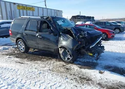 1FMJU2A58EEF11329: 43941691