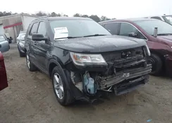 1FM5K7BHXJGC95768: 43943152