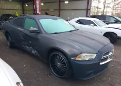 2C3CDXHG7DH545405: 43944955