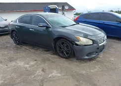 1N4AA5AP4BC834435: 43945968