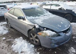 4T1CE38P65U509815: 43945451