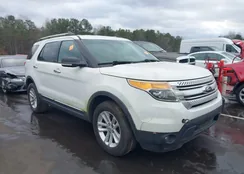 1FM5K8D82DGC45373: 43945502