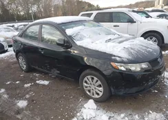 KNAFT4A20A5851449: 43945554