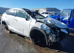 JTJYARBZ6H2051158: 43947108