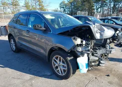 2FMPK4J9XRBA66608: 43947253