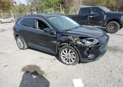 1FMCU0DZ0MUA18504: 43946694