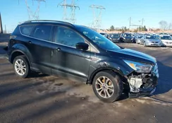 1FMCU9GDXJUC62404: 43947969