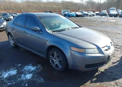 19UUA66236A076701: 43948032