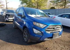 MAJ6P1CLXJC231141: 43948253