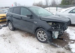 1FMCU9GD0HUA79085: 43948803