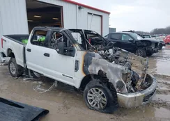 1FT7W2BT7HED43449: 43948855