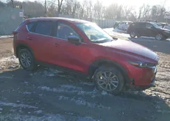 JM3KFBCM3N1604684: 43949950